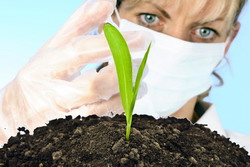 Academicienii au un rol important in dezvoltarea alimentatiei si agriculturii in mediul rural