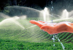 In trei ani putem vorbi de 1 milion de hectare irigate