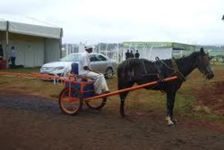 Instalatie de stropit cu tractiune animala