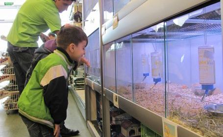 Fundatia VIER PFOTEN impotriva vanzarii animalelor in spatii publice