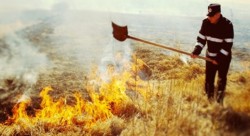 ---incendiudevegetatie