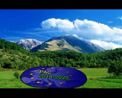 Comitetul tematic – Dezvoltare rurala, agricultura si pescuit