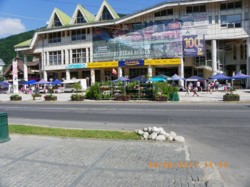 24-26 august: Targul de Bunatati Sinaia