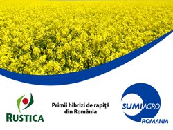 Hibrizii de rapita – 10 ani de istorie in Romania