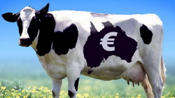 vaca euro