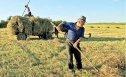 600.000 fermieri vor primi 100 lei /ha