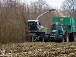 4 recoltare salcie energetica KWG