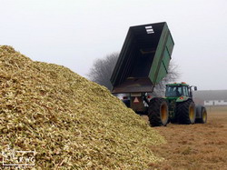 5 recoltare salcie energetica KWG