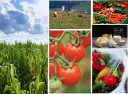 O Romanie agricola divizata in doua