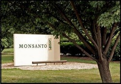 Raspunsul companiei Monsanto la studiul francez