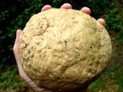 Secretul medicinii Isihaste