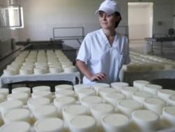 Strategie de dezvolare pe verticala a fermelor romanesti