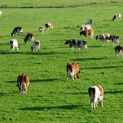 Noul nivel de subventii agricole propus pentru 2012