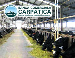Banca Comerciala Carpatica sprijina in continuare fermierii prin creditul APIA Ferma Zootehnica
