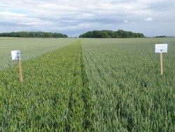 UE va finanta proiectele de cercetare si inovare