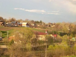 Succesul cooperativelor agricole sucevene