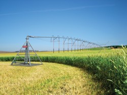 Proiectele de irigatii se vor depune pana la 31 octombrie