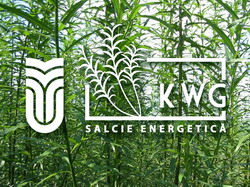 Realizarea Plantatiilor de Salcie Energetica