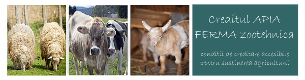 banner APIA ferma mic