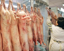 Rusia este interesata de laptele si carnea din Romania