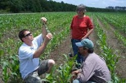 consultanta-agricola