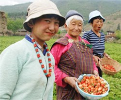 Bhutan este prima tara din lume in care toata productia agricola va fi ecologica