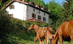 Conservarea mediului si a identitatii etnografice, esentiale pentru turismul rural