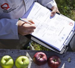 Fiecare muscatura de mar este un deliciu