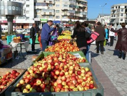 Problemele Asociatiei Pomicultorilor din Falticeni