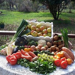 Carnete de producatori pentru agricultori