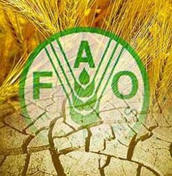 FAO va oferii un sistem de informare reala de piata