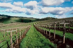 Proiectele cofinantate prin fonduri europene s-ar putea bloca