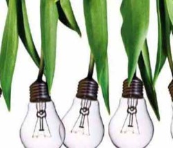 AB Energy, solutii complete si echipamente modulare de cogenerare pe baza de biogaz si gaze naturale