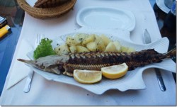 cegalamammaleone thumb