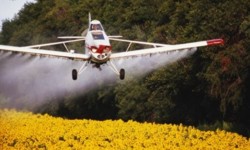 Tabel calcul concentratii pentru pesticide