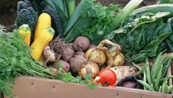 domeniul-agriculturii-ecologice