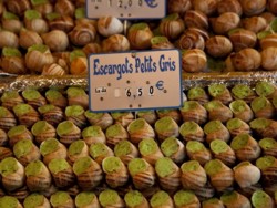 Piata melcilor a depasit 10 miliarde de euro, la nivel mondial