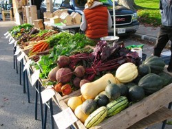 fal08 early at the farmers market 2