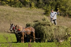 Taranul roman a ramas cu mecanizarea in secolul XIX