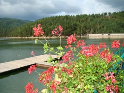 Golirea lacului Gozna a ucis mii de pesti