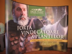 Business din plante medicinale