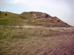 Prima impadurire a terenurilor agricole, se amana