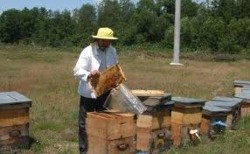 Camera Agricola Dambovita, ingropata in dosarele de plati