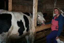 La Belin au sosit vacile “cadou”