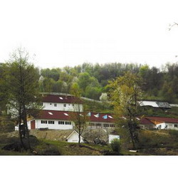 Lactate ecologice si traditionale la ferma de vaci din Petrova