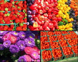 Functionarea pietei de legume si fructe proaspete