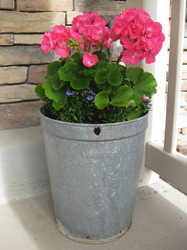 Imported Photos 00308 resize