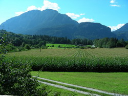 7 % din suprafata fermei in interes ecologic din 2014