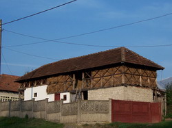 SURA-TRADITIONALA resize