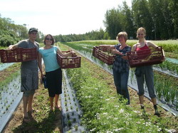 WWOOF-volunteers-in-Canada resize